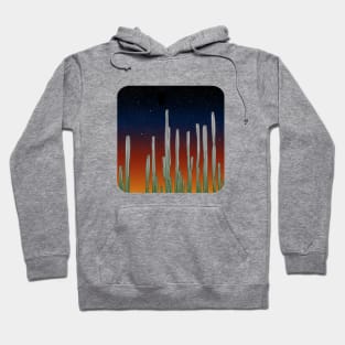 Cactus Desert Hoodie